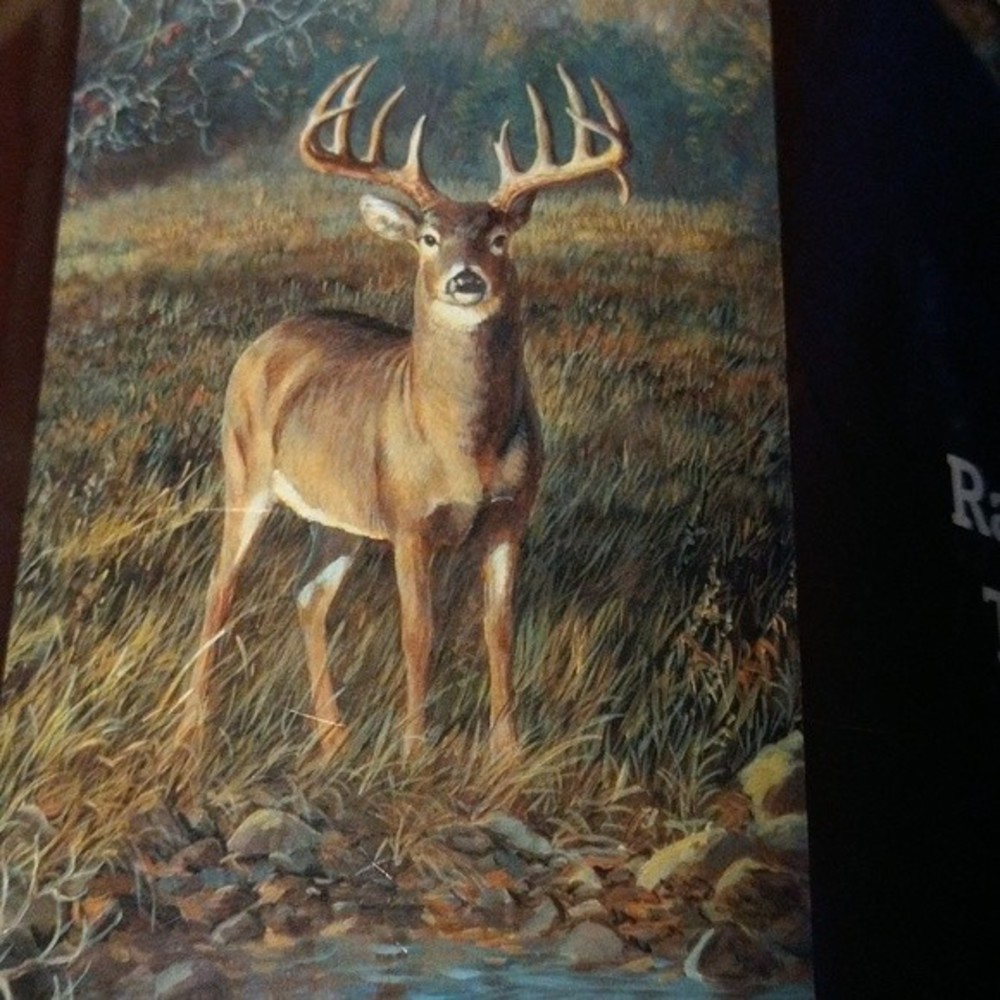 Rachelle Throw Blanket Extra Long Deer in the Wild near Pond in front